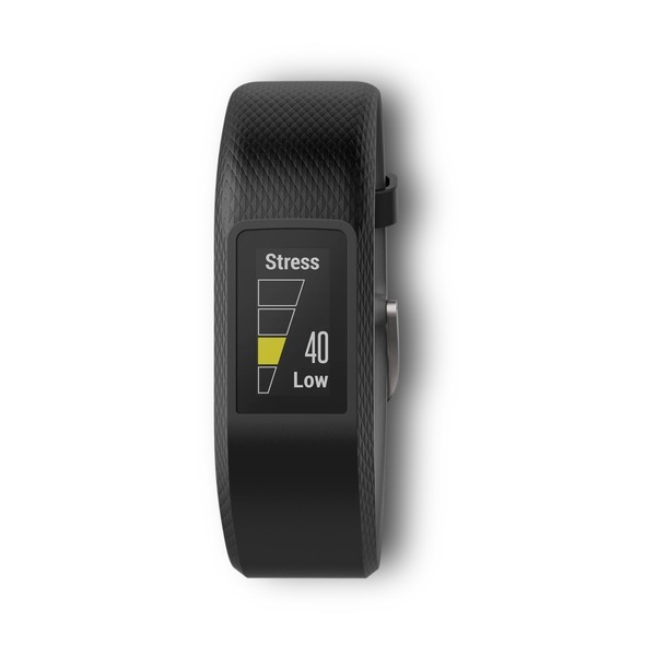 garmin vivosport slate regular
