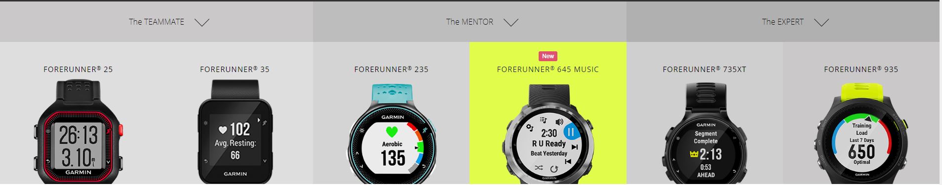 Garmin Forerunner